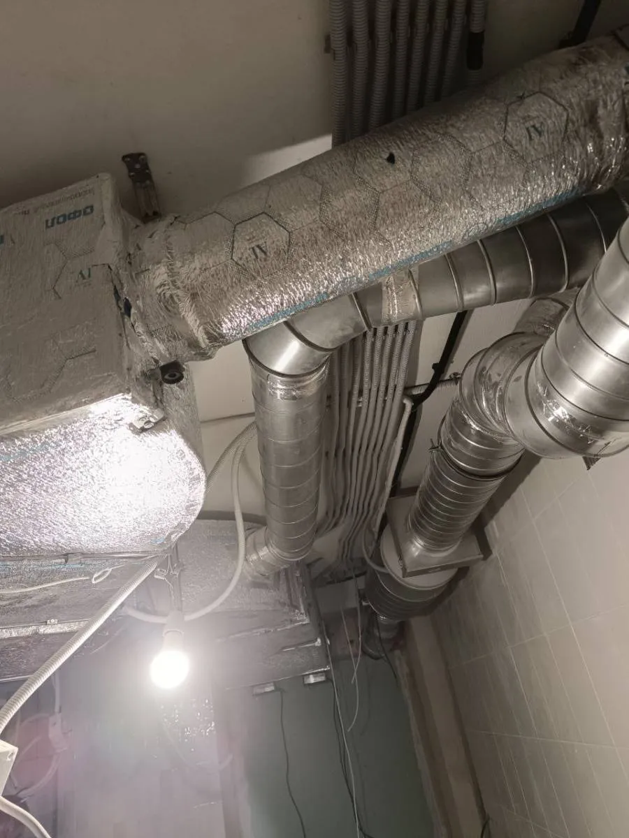 Ресторан "Bao Baozi" Ресторан "Bao Baozi"