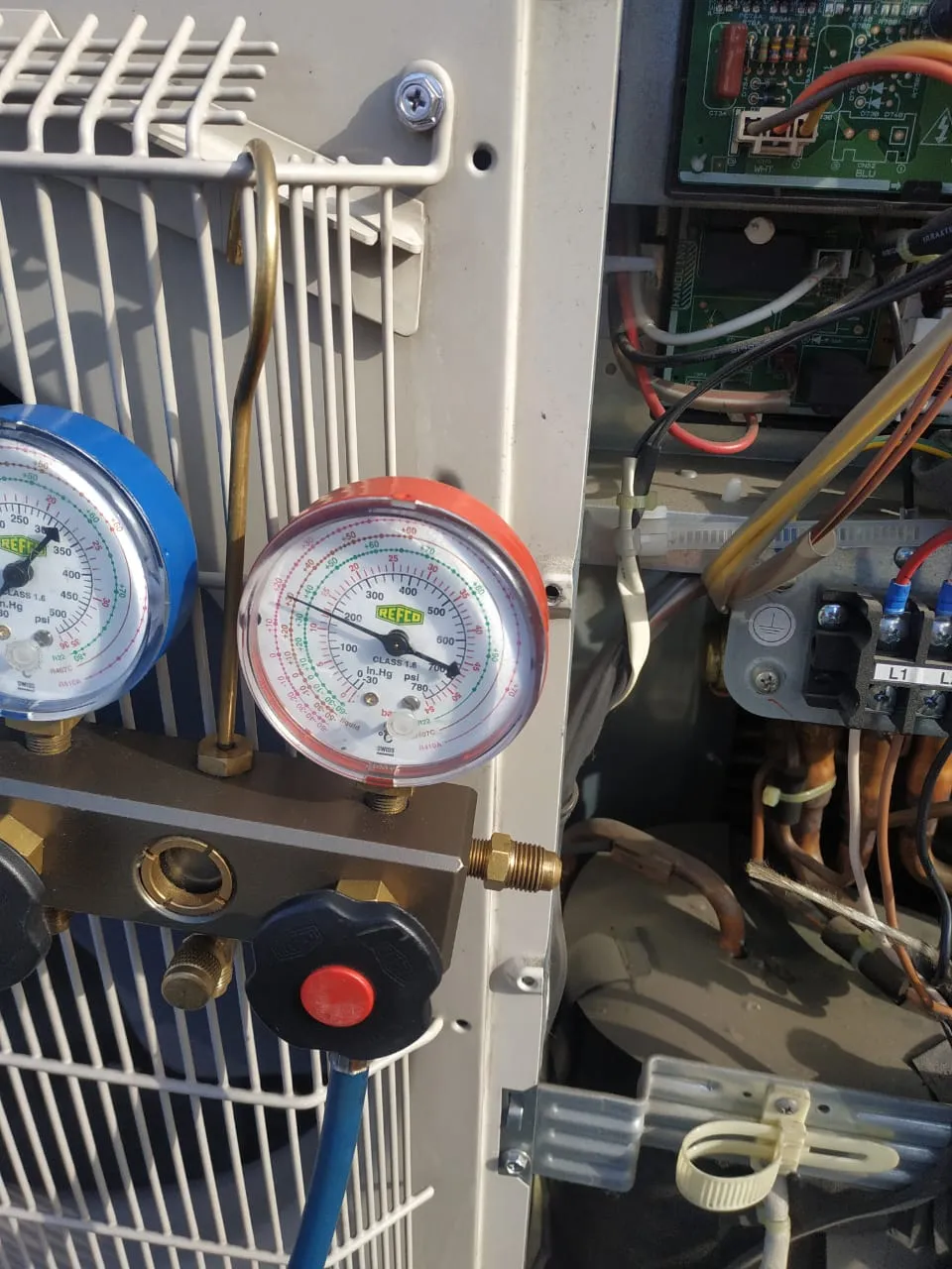 KFC Культуры 21 KFC Культуры 21