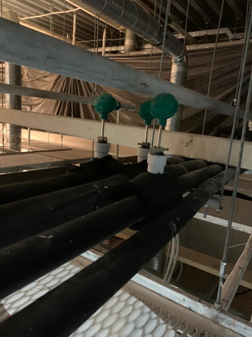 Рив Гош Парнас Рив Гош Парнас