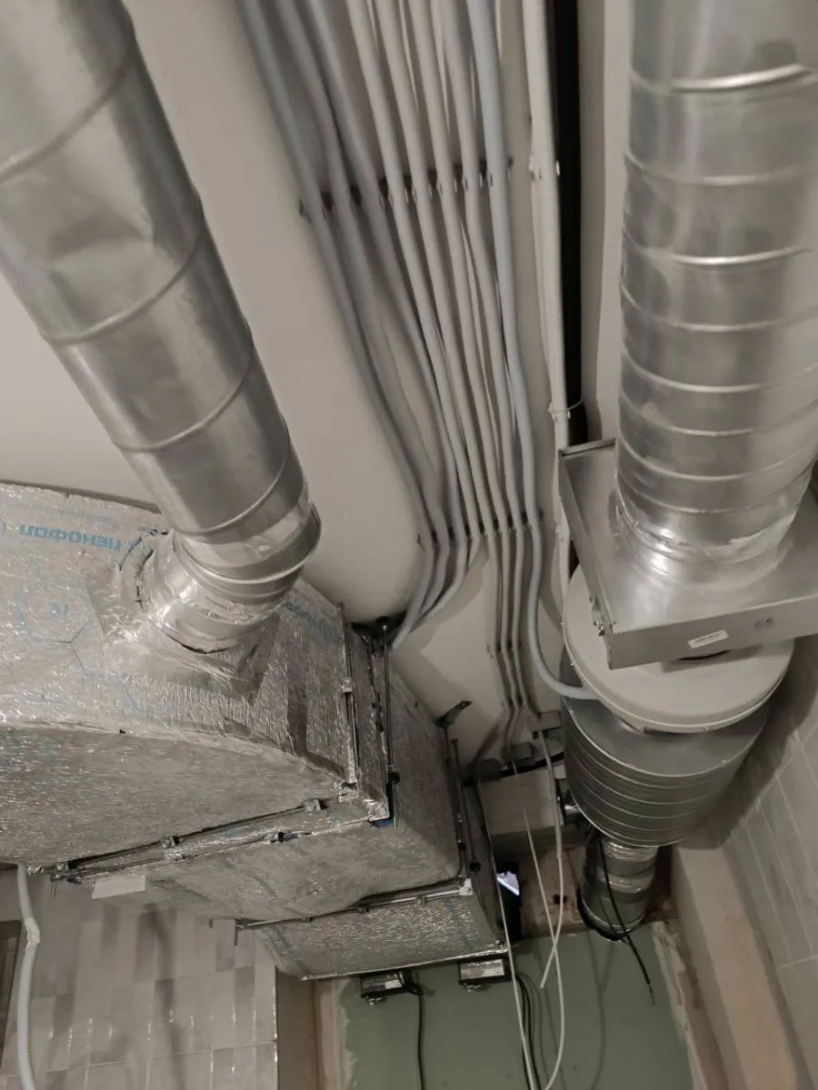 Ресторан "Bao Baozi" Ресторан "Bao Baozi"