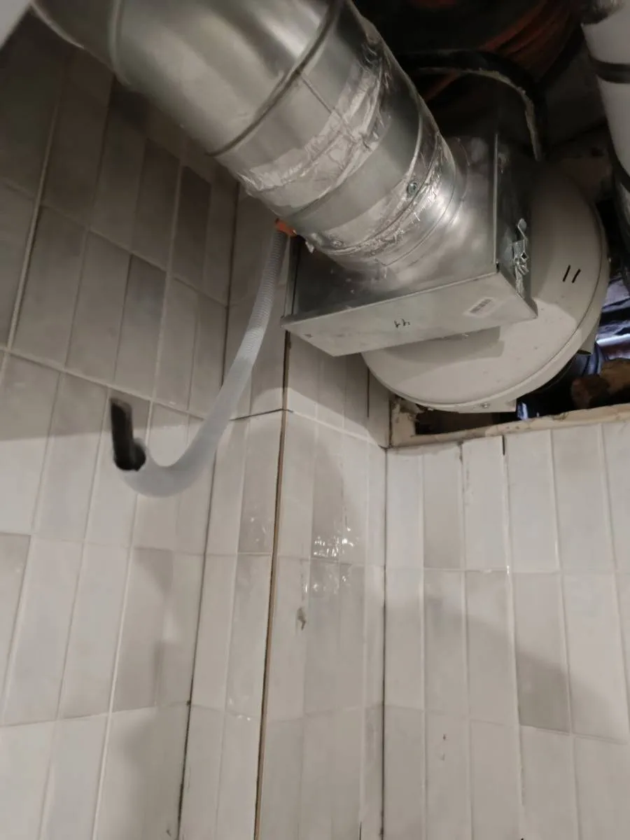 Ресторан "Bao Baozi" Ресторан "Bao Baozi"