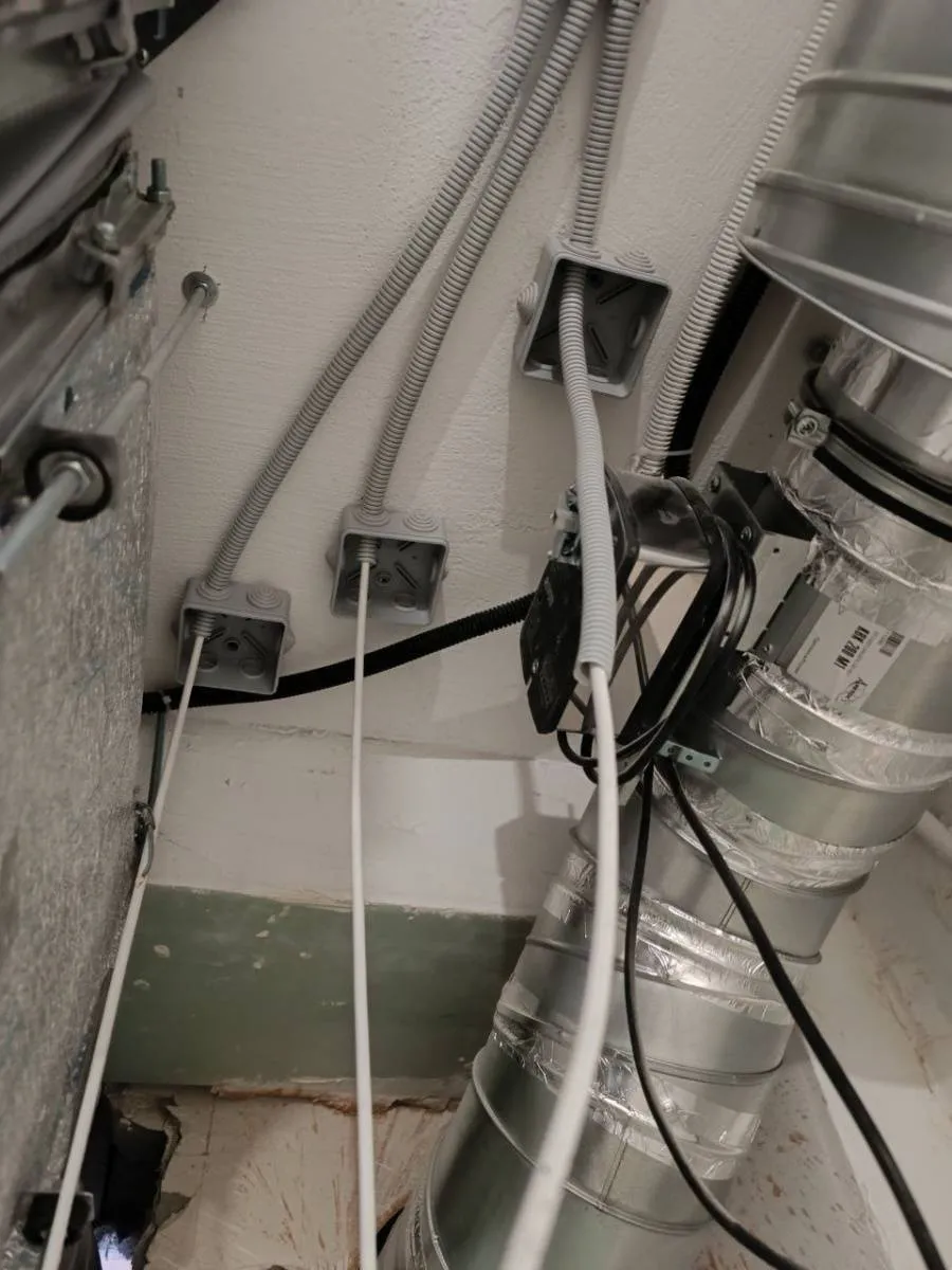 Ресторан "Bao Baozi" Ресторан "Bao Baozi"