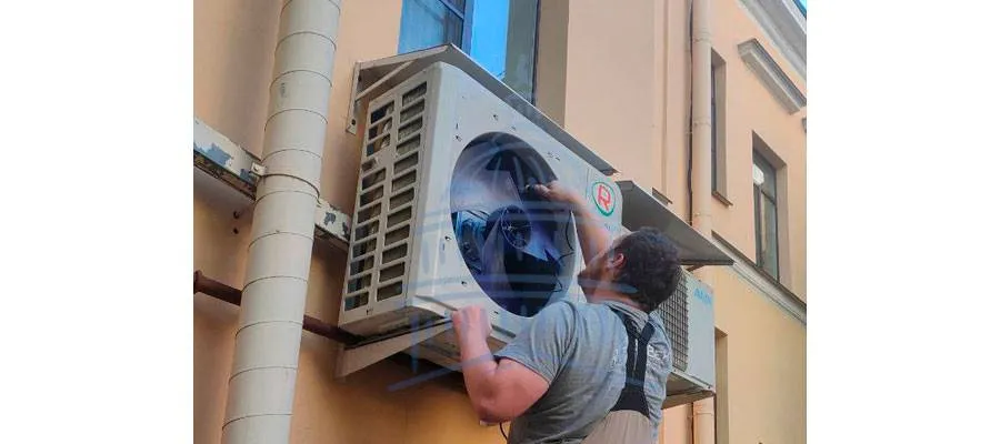 c3.jpg