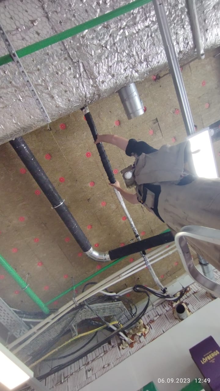 Четыре Лапы "Восстановление изоляции" Четыре Лапы "Восстановление изоляции"