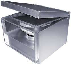 RKBI 600*350 A1