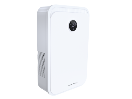 Приточная установка Бризер Funai ERW 150X.P